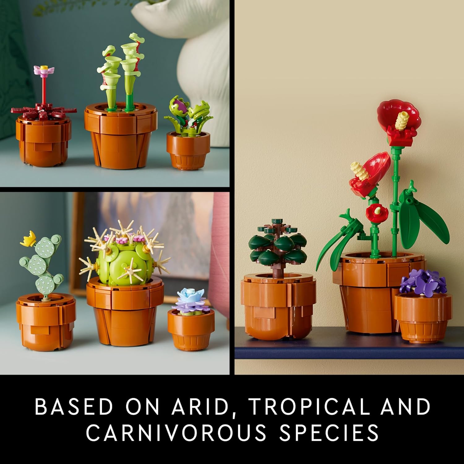 LEGO Icons Tiny Plants Building Set, Cactus Décor Gift Idea for Flower-Lovers, Carnivorous, Tropical and Arid Flora, Build and Display, Botanical Collection, Creative Building Sets for Adults, 10329 - Image 4